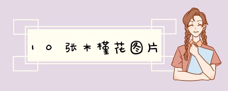 10张木槿花图片