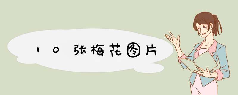 10张梅花图片