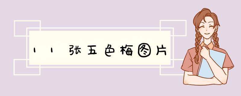 11张五色梅图片