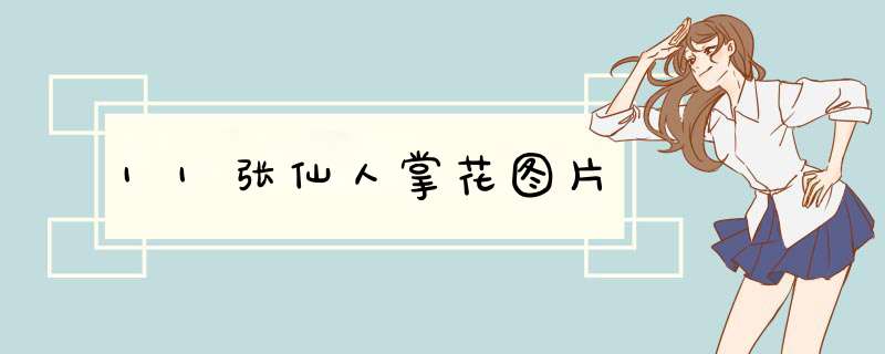 11张仙人掌花图片