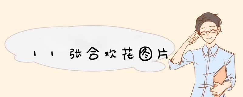 11张合欢花图片