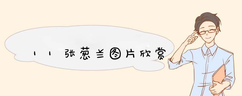 11张葱兰图片欣赏