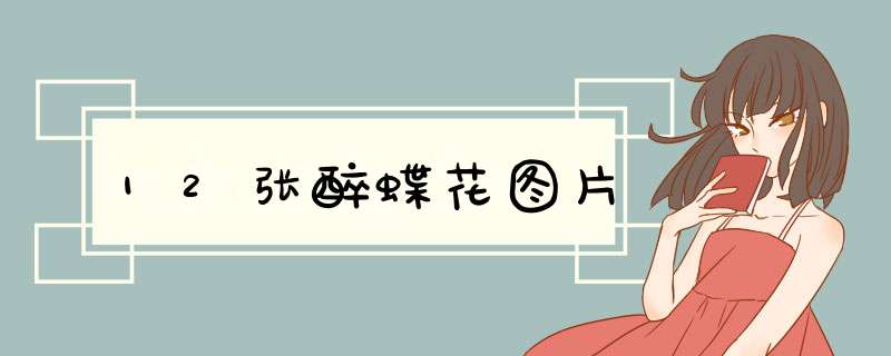 12张醉蝶花图片