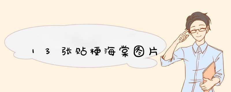 13张贴梗海棠图片