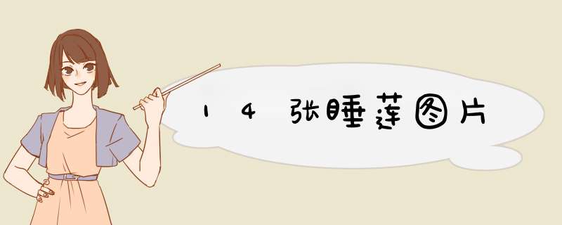 14张睡莲图片