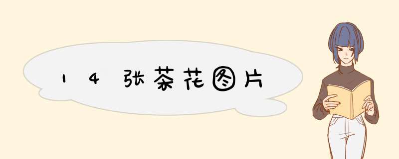 14张茶花图片