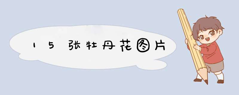 15张牡丹花图片