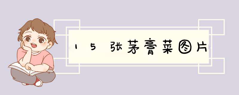 15张茅膏菜图片