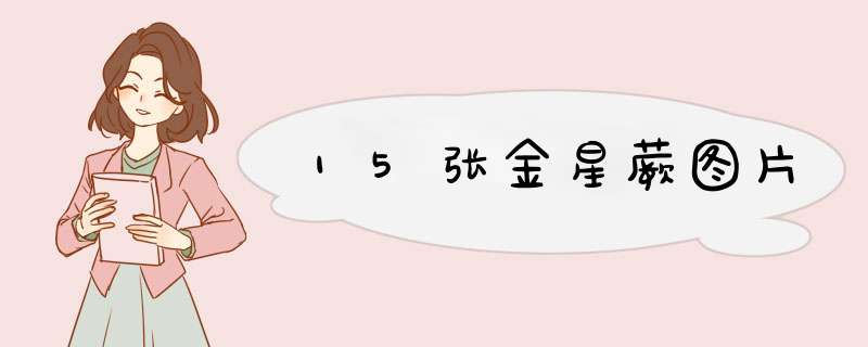 15张金星蕨图片