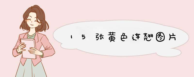 15张黄色连翘图片