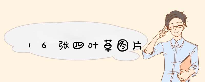 16张四叶草图片