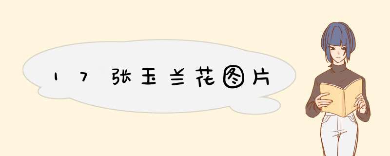 17张玉兰花图片