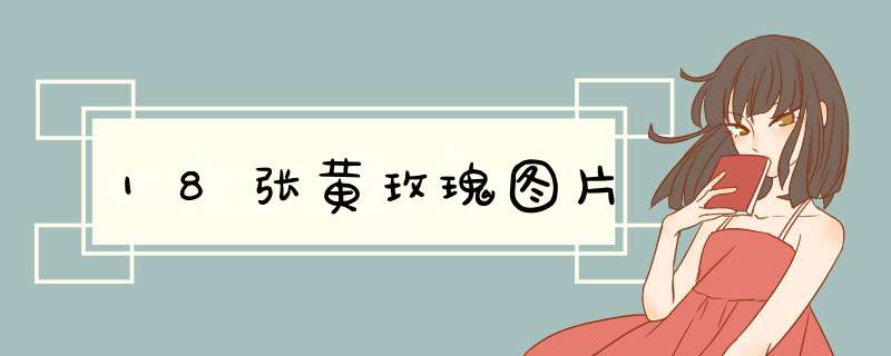 18张黄玫瑰图片