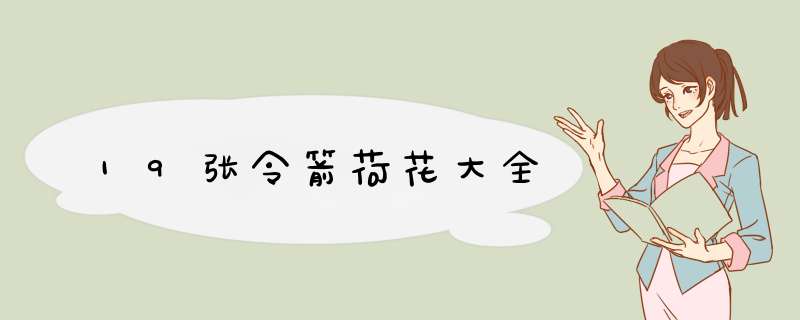19张令箭荷花大全