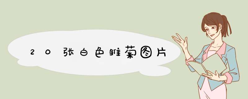 20张白色雏菊图片