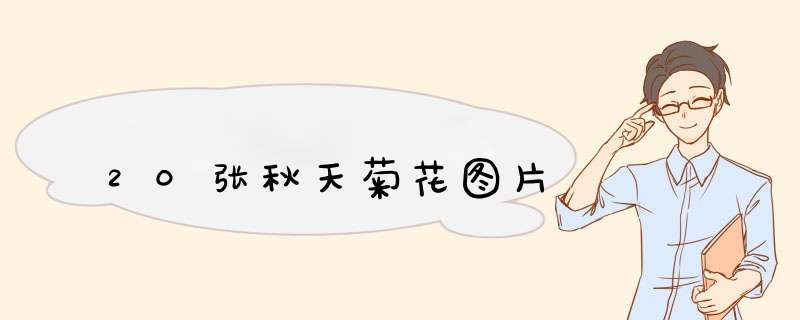 20张秋天菊花图片