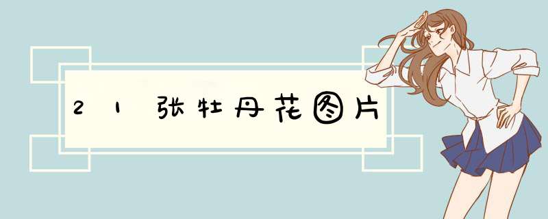 21张牡丹花图片