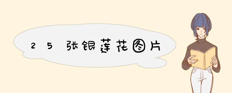 25张银莲花图片