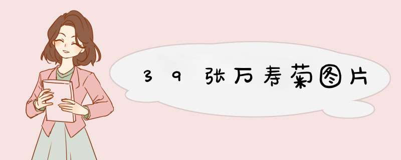 39张万寿菊图片
