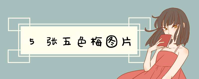 5张五色梅图片