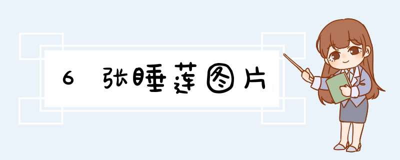 6张睡莲图片