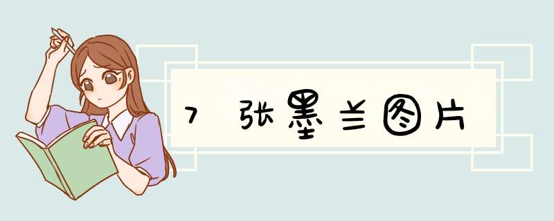7张墨兰图片