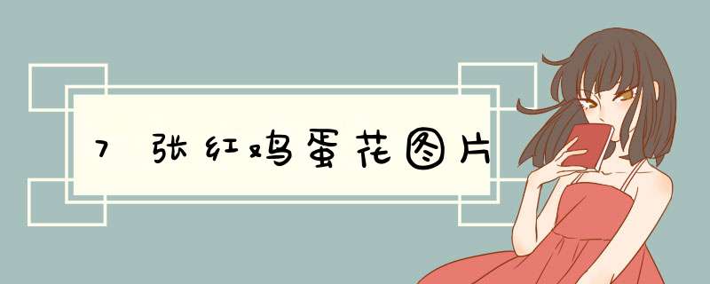 7张红鸡蛋花图片