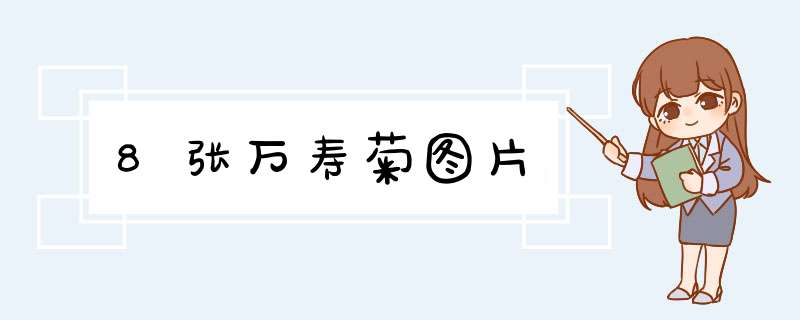 8张万寿菊图片
