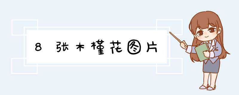 8张木槿花图片