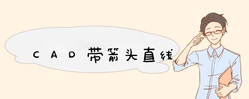 CAD带箭头直线