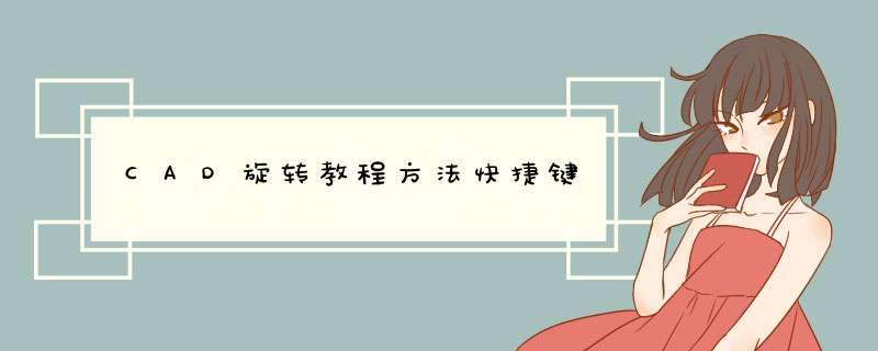 CAD旋转教程方法快捷键