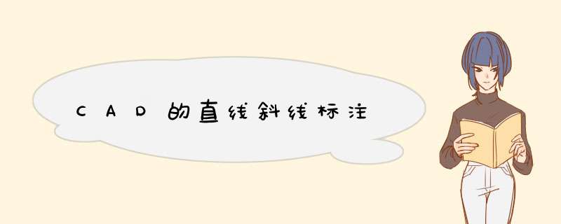 CAD的直线斜线标注