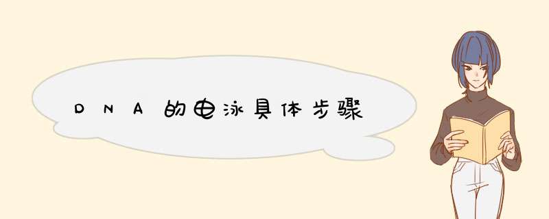 DNA的电泳具体步骤