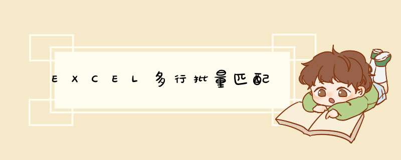 EXCEL多行批量匹配