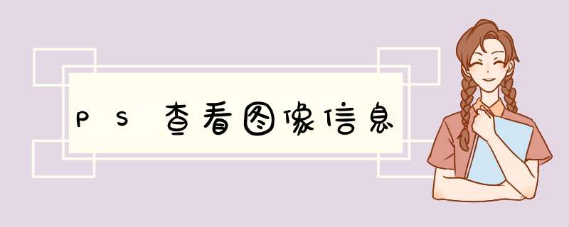 PS查看图像信息