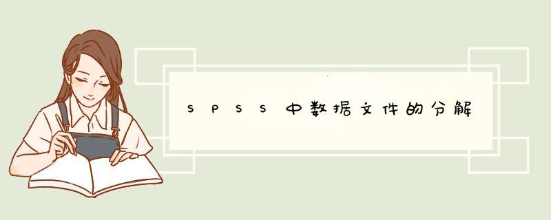 SPSS中数据文件的分解