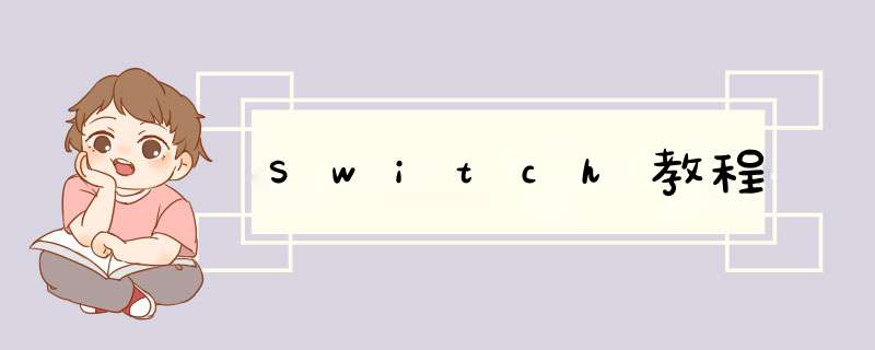Switch教程