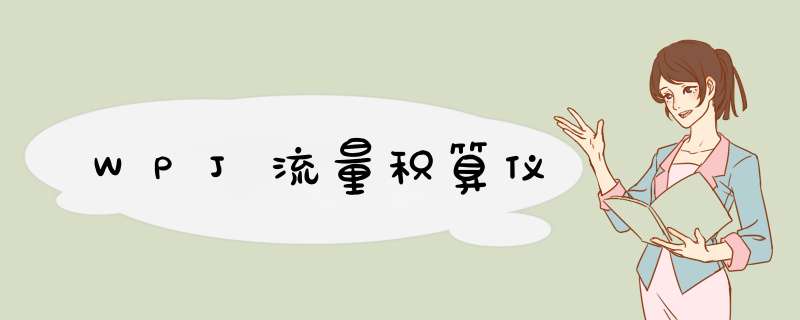 WPJ流量积算仪