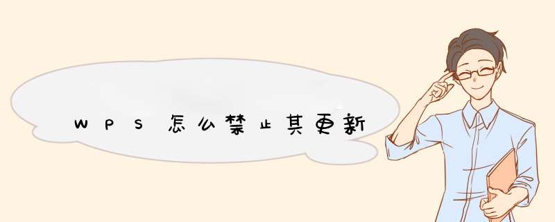 WPS怎么禁止其更新