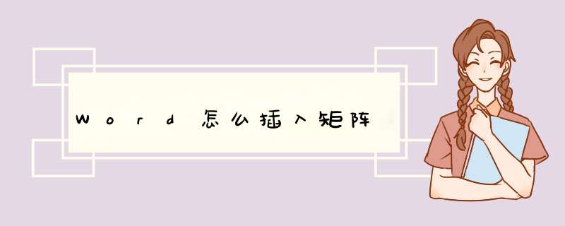 Word怎么插入矩阵