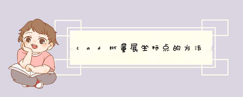 cad批量展坐标点的方法
