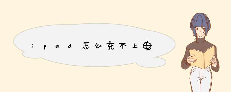 ipad怎么充不上电