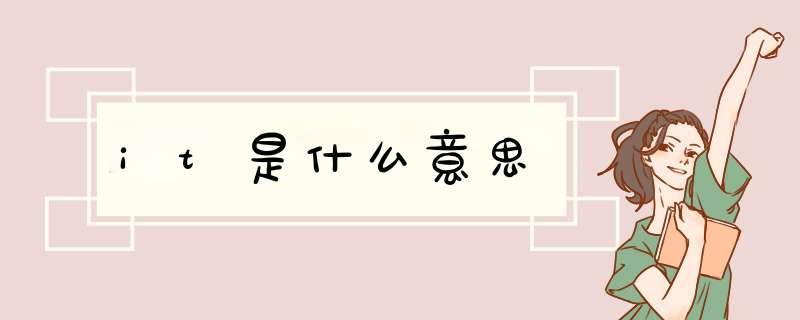 it是什么意思