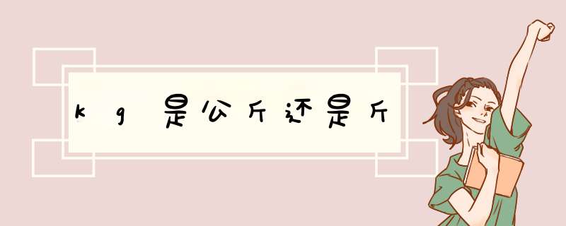 kg是公斤还是斤