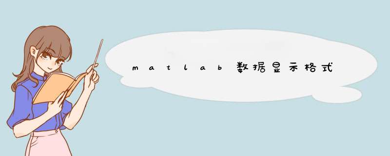 matlab数据显示格式