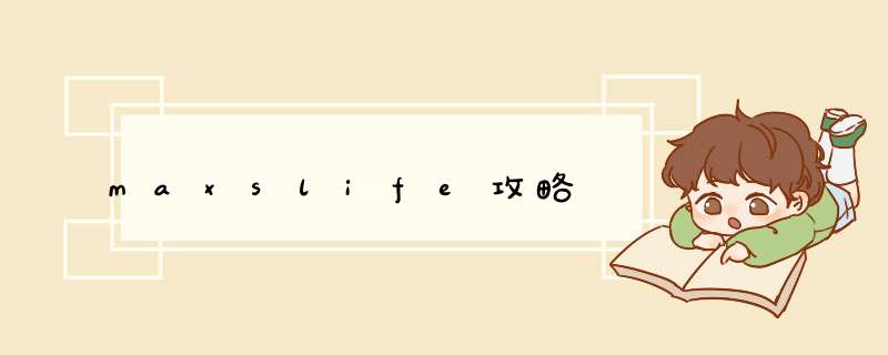 maxslife攻略