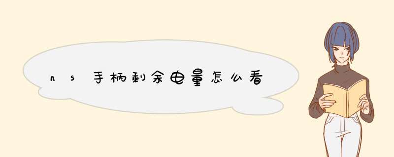 ns手柄剩余电量怎么看