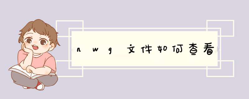 nwg文件如何查看