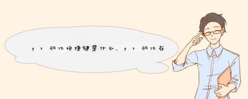 ps羽化快捷键是什么，ps羽化在哪里
