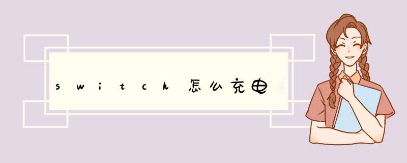 switch怎么充电